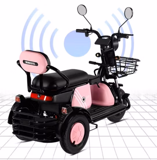 Usine offre spéciale 1 ~ 3 heures Mini Dirt moyeu arrière moto Tricycle électrique pour adulte