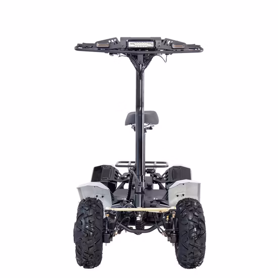 6000W60V 3000W 60V VTT Quad électrique hors tension