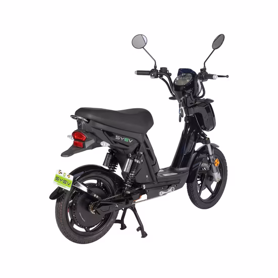 Syev CEE Scooter électrique pour adulte avec moteur DC sans balais 800 W Shenyun