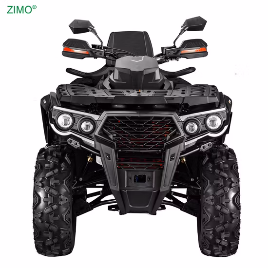 250cc Dirt Bike 4X4 ATV essence et quad électrique pour adultes